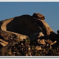 Joshua Tree National Park