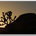 Joshua Tree National Park