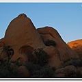 Joshua Tree National Park