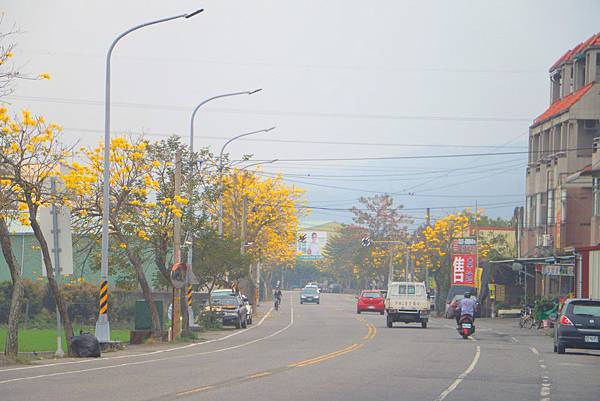 IMG_6749 (複製).JPG