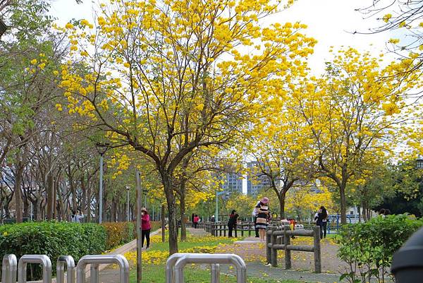 IMG_6974 (複製).JPG