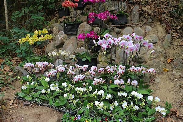 IMG_6757 (複製).JPG