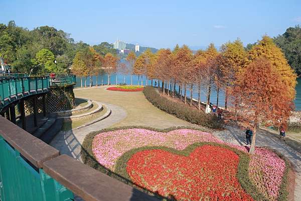南投日月潭向山湖畔落羽松 絕美湖畔落羽松日月潭向山湖羽松變色了夢幻畫面就像明信片的場景也是婚紗拍攝景點之一 旅人狂潮 玩拍札記 旅人狂潮 艾倫的旅遊日記