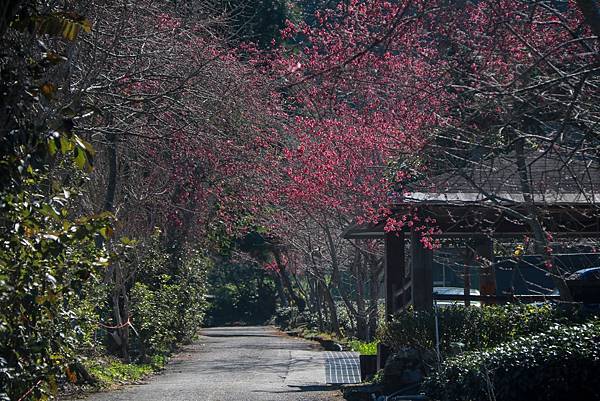 IMG_5582 (複製).JPG