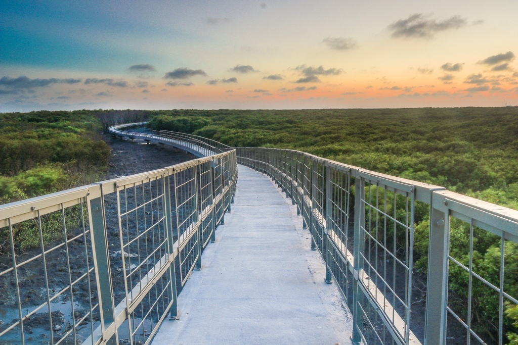 芳苑濕地海空步道 芳苑潮間帶濕地 芳苑濕地 芳苑打造一條蜿蜒在濕地間的海空步道觀賞全台獨一無二的芳苑潮間帶牛車採蚵文化 彰化新景點 彰化新亮點 Go阿綸 旅人狂潮