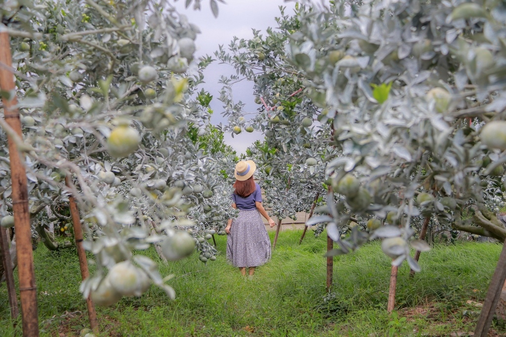 IMG_4214 (複製).JPG IMG_4214 (複製).JPG