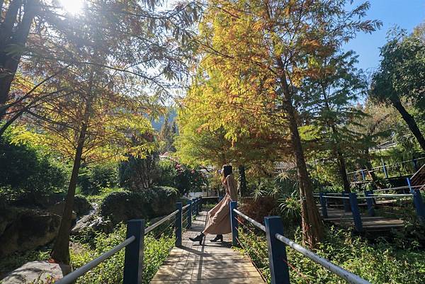 IMG_6788 (複製).JPG