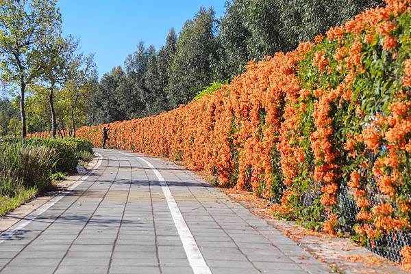 IMG_9602 (複製).JPG