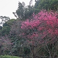 IMG_1747 (複製).JPG