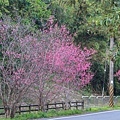 IMG_1740 (複製).JPG