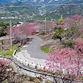 IMG_2141 (複製).JPG