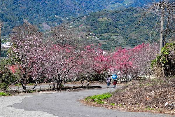 IMG_2153 (複製).JPG