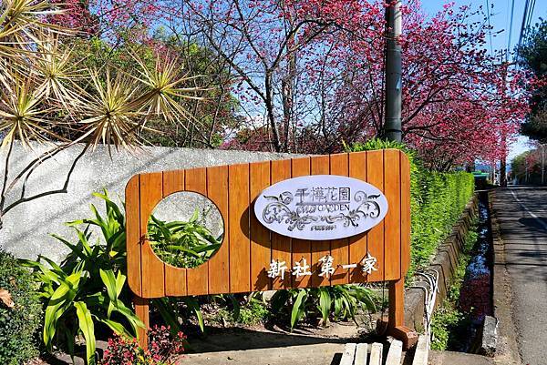 IMG_2238 (複製).JPG