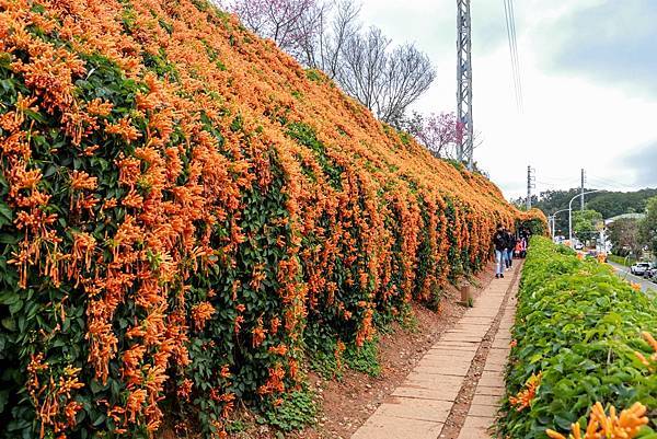 IMG_1536 (複製).JPG