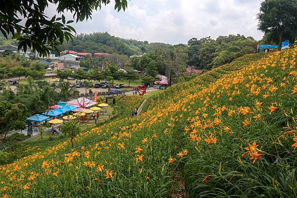 IMG_8742 (複製).JPG