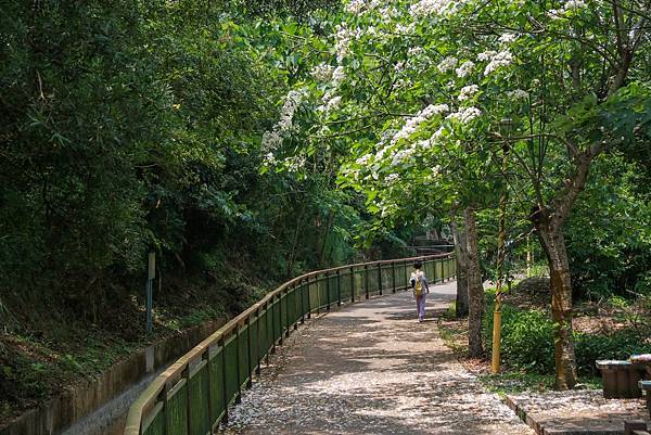 IMG_8414 (複製).JPG