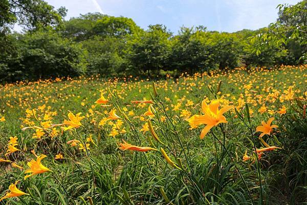 IMG_0229 (複製).JPG