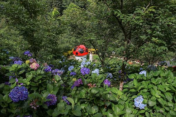 IMG_8356 (複製).JPG