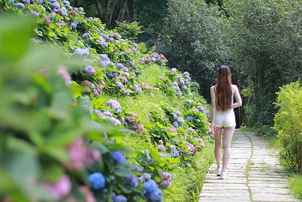 IMG_1457 (複製).JPG