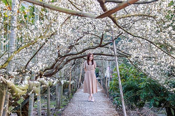 IMG_0261 (複製).JPG