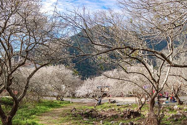 IMG_1907 (複製).JPG