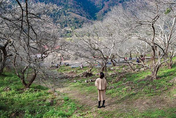 IMG_2062 (複製).JPG