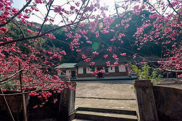 IMG_6378 (複製).JPG