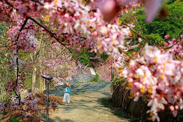 IMG_3289 (複製).JPG