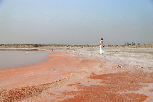 IMG_8614 (複製).JPG