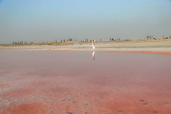 IMG_8638 (複製).JPG