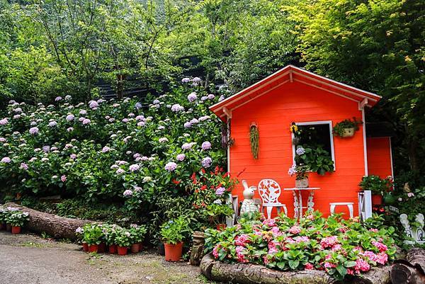 IMG_4013 (複製).JPG