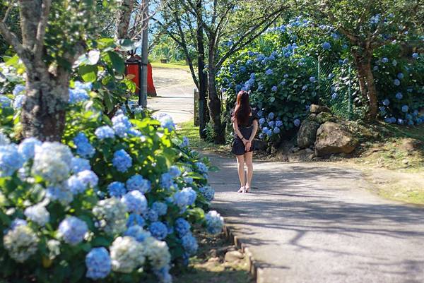 IMG_7182 (複製).JPG