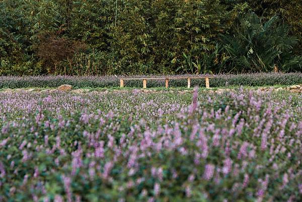 IMG_0462 (複製).JPG