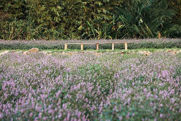 IMG_0475 (複製).JPG