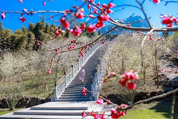 IMG_1949 (複製).JPG