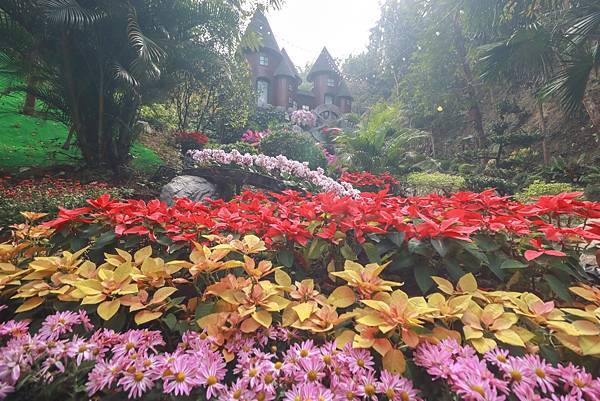 IMG_5999 (複製).JPG