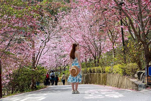 IMG_4432 (複製).JPG