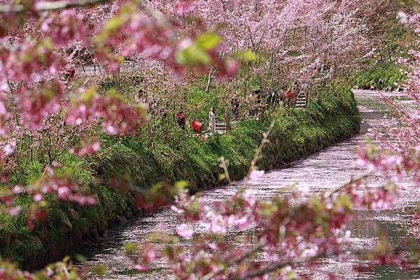 IMG_4535 (複製).JPG