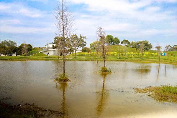 IMG_8323 (複製).JPG