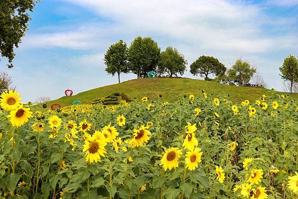 IMG_8455 (複製).JPG