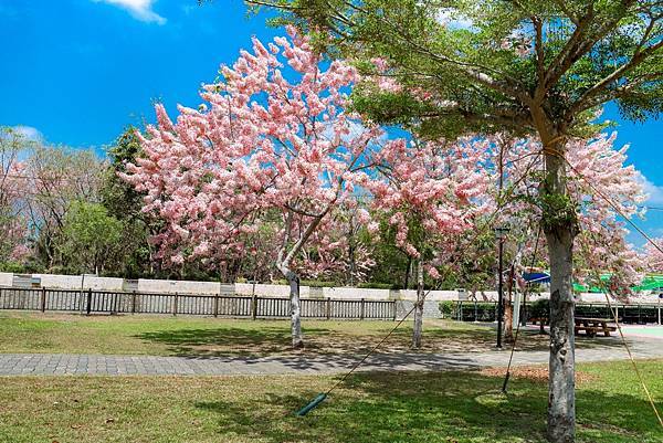 IMG_9182 (複製).JPG