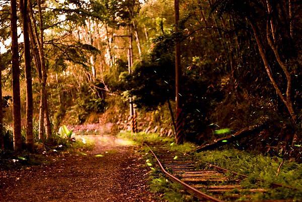 IMG_0086 (複製).JPG