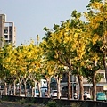 IMG_1674 (複製).JPG
