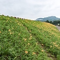 IMG_1791 (複製).JPG