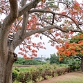 IMG_0578 (複製).JPG