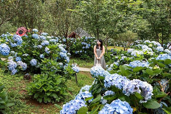 IMG_4279 (複製).JPG