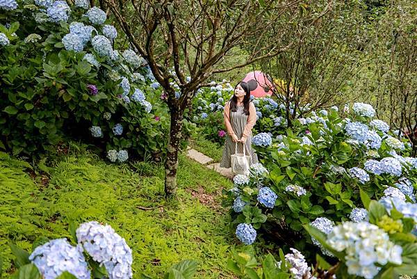 IMG_4293 (複製).JPG