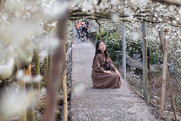 IMG_1681 (複製).JPG