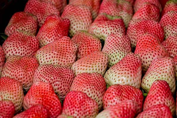 IMG_8272 (複製).JPG