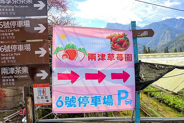 IMG_8260 (複製).JPG